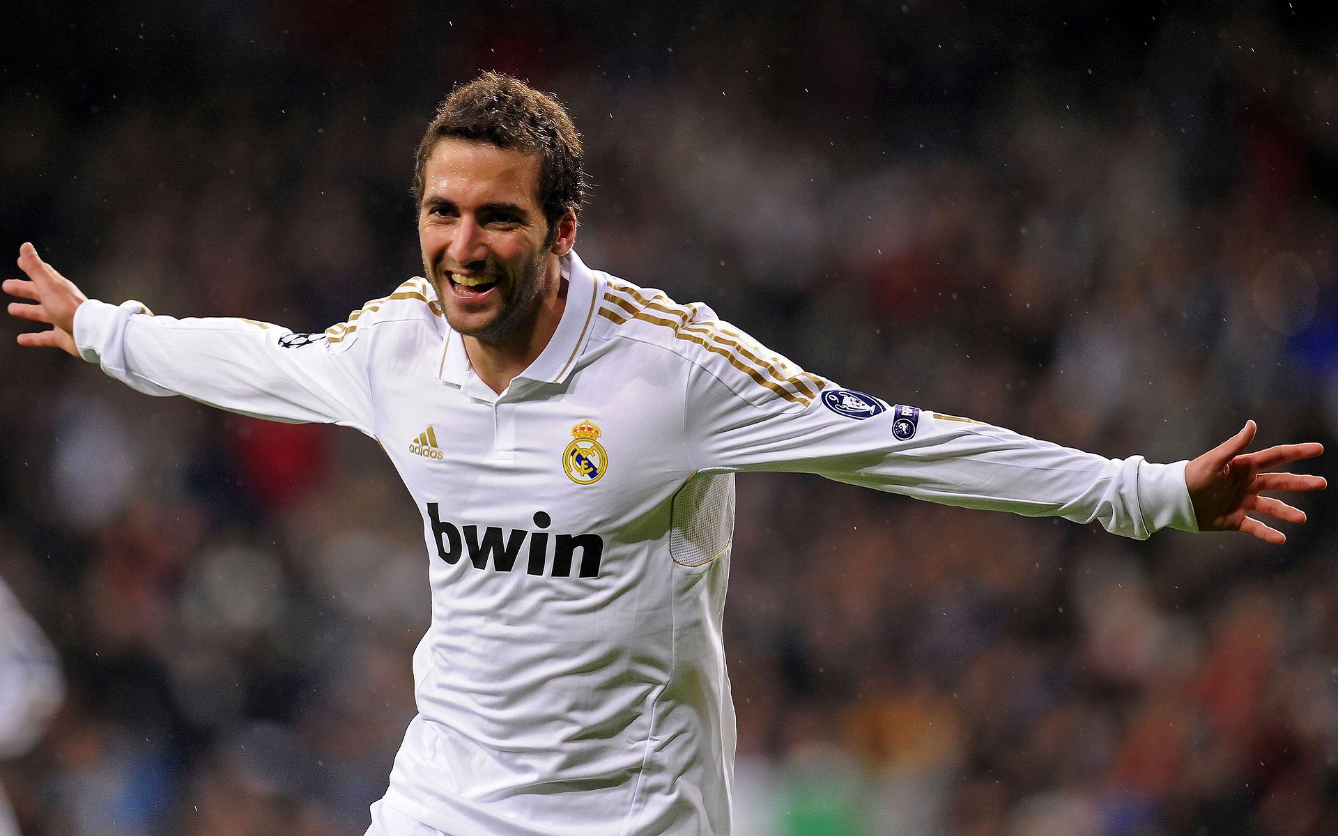 世界拳击组织更新规则,KO判定标准更严格,世界拳击组织的拳王