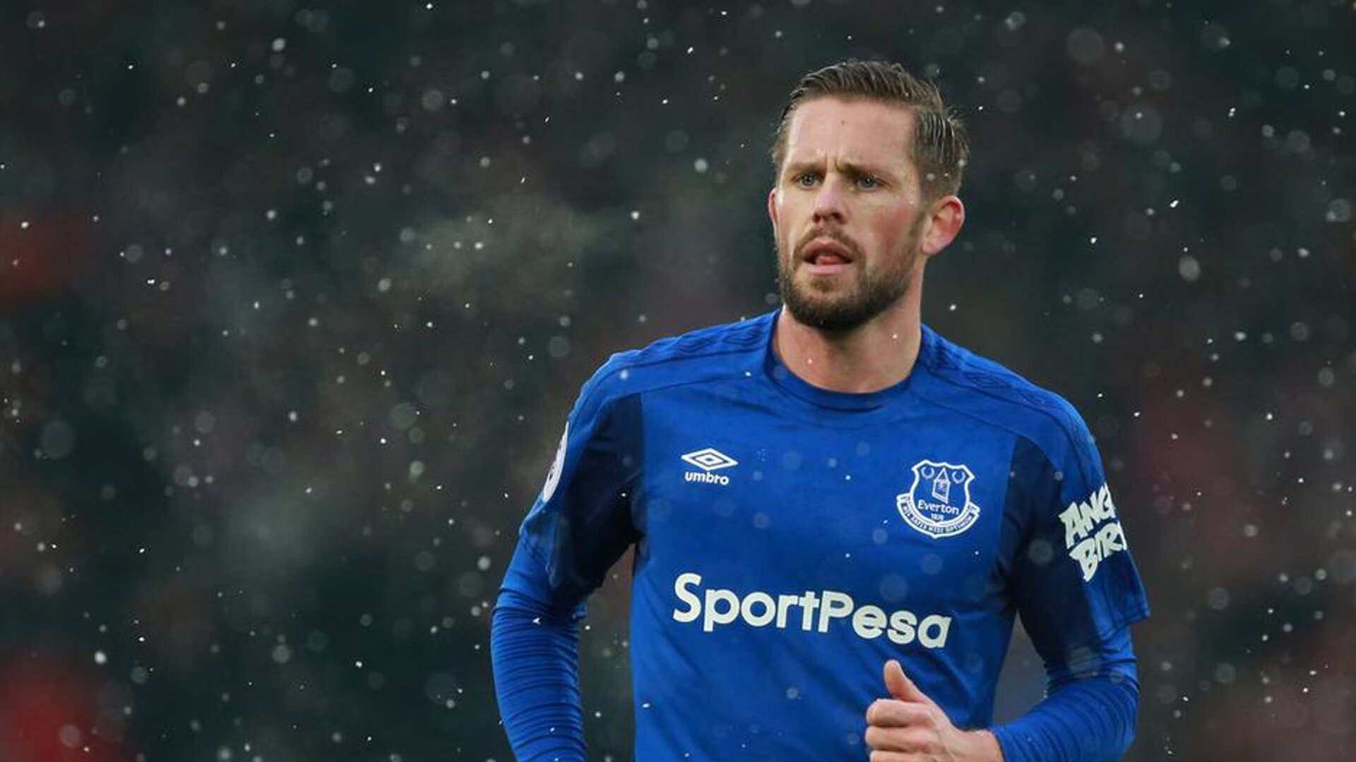 查尔斯·勒克莱尔在意大利大奖赛中夺冠，查尔斯莱伊尔